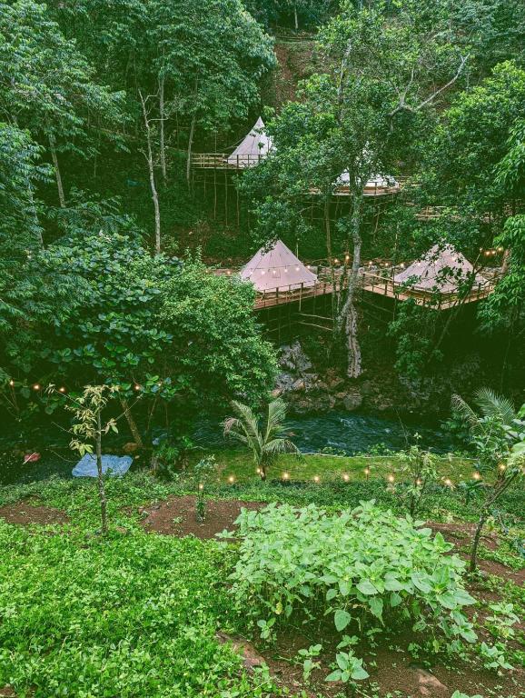 Zenda Glamping - 1