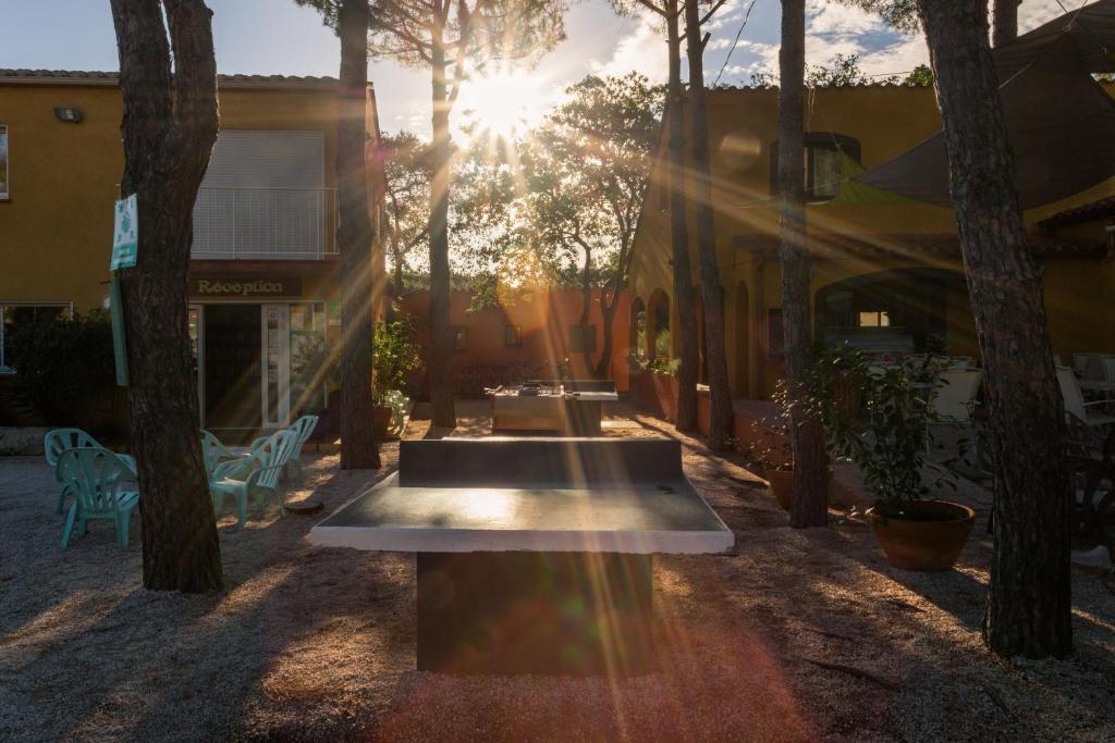 Domaine Des Mimosas - 3