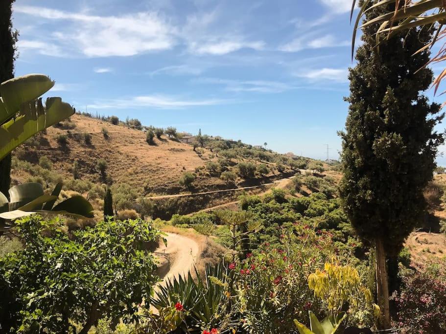 Little Paradise in Fuente Conejo - 2