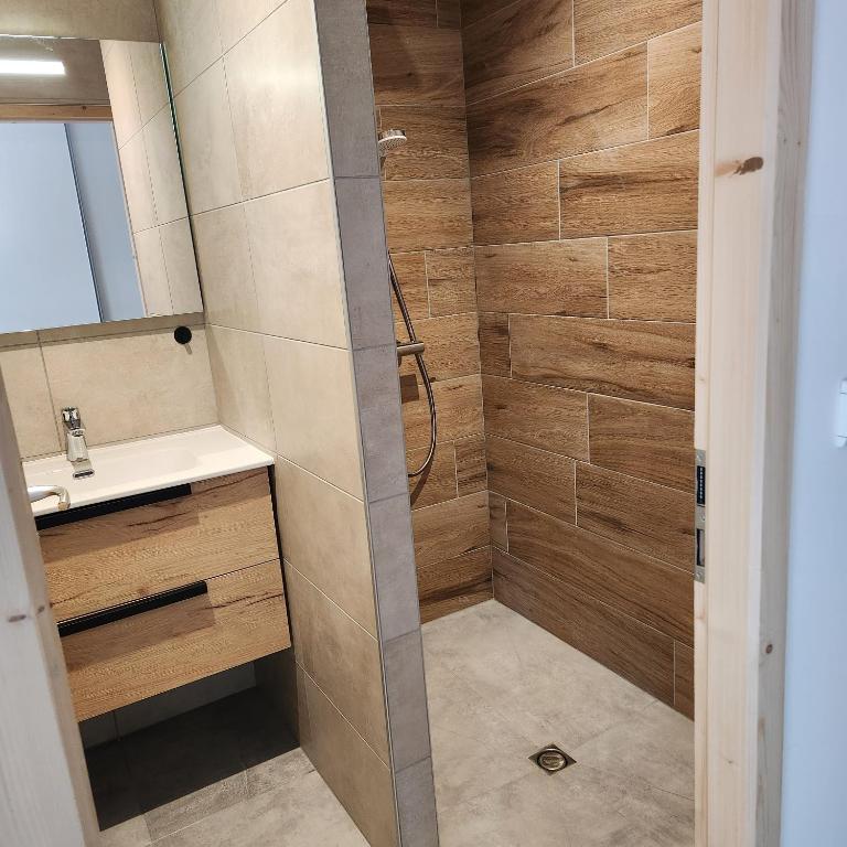 Nouveau !LE CHOUCAS appartements au centre de Chatel avec parking couvert - 5