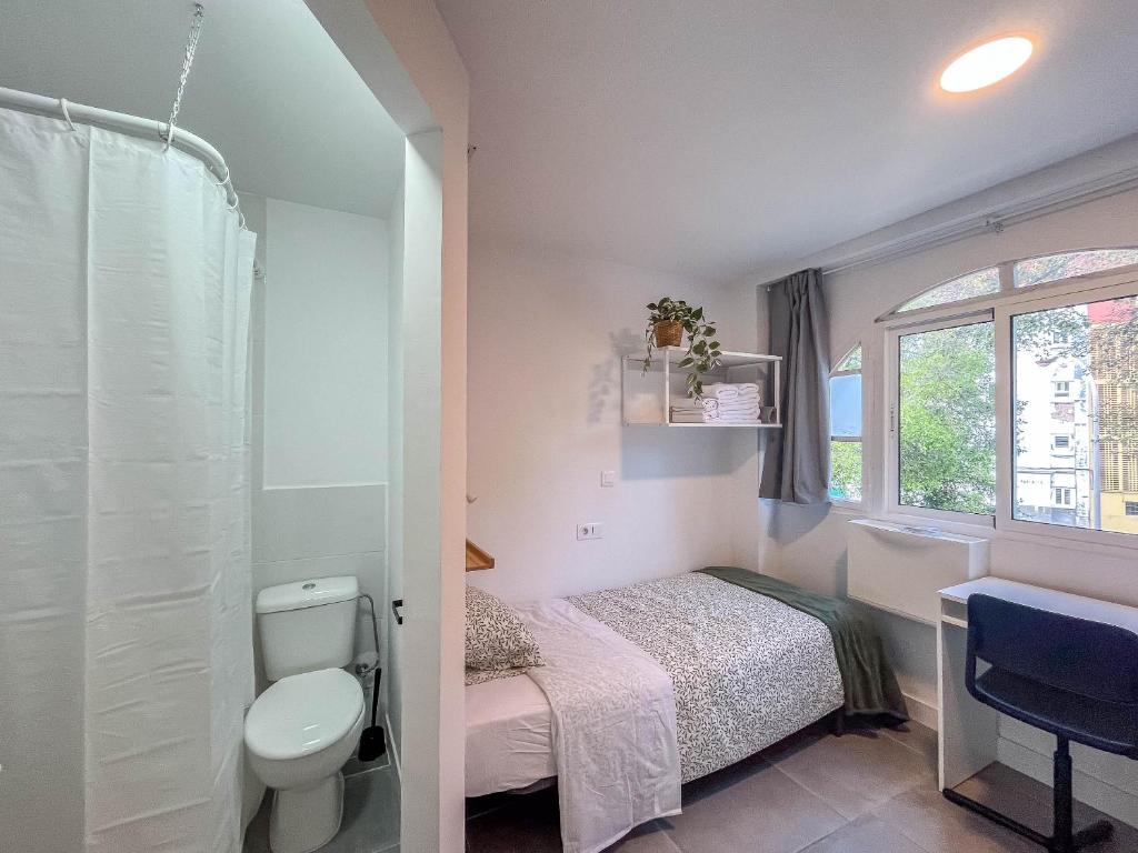 Coliving Mol-Terrace, En-Suite Bathroom, Fridge & TV - 2