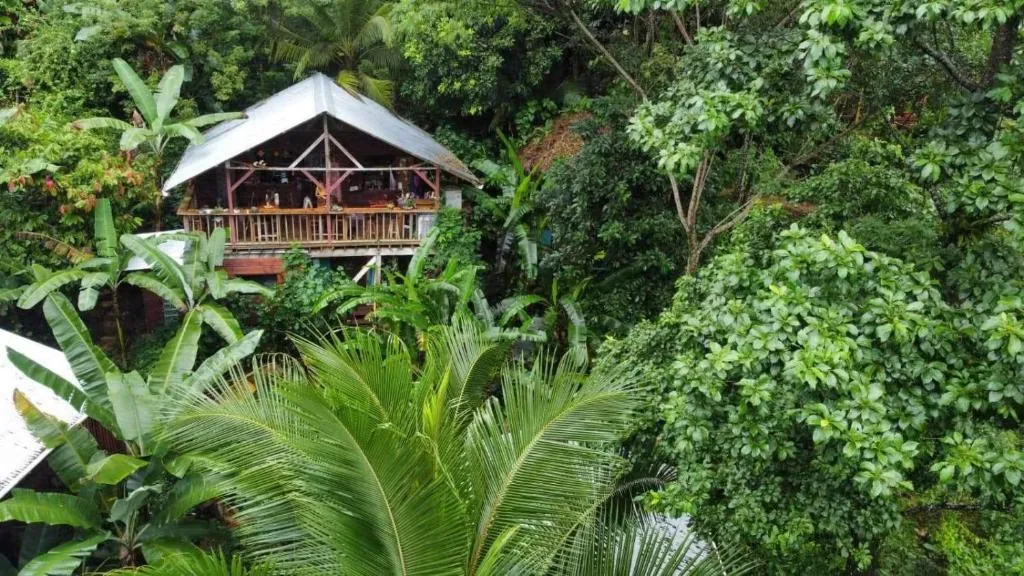 Pure Roots, hotel in Bastimentos