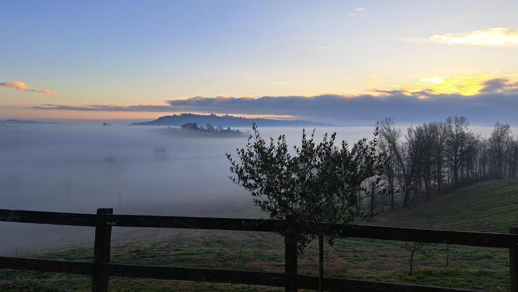 Cascina Fazioli B&B, Alfiano Natta