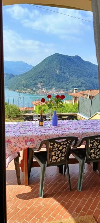 Gipsy - x 6 Garden & Magic, Sulzano