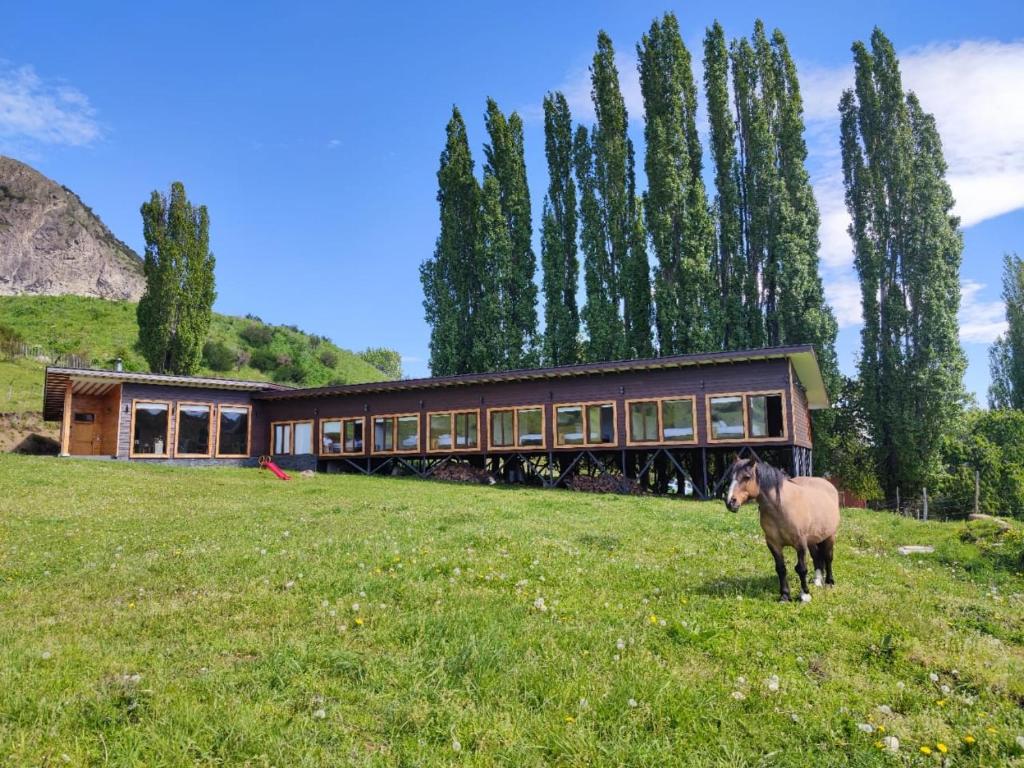 Austral Patagonian Lodge - 1