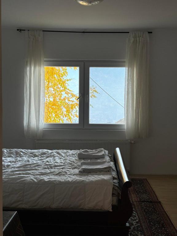 Couples Nest in Sarajevo, Sarajevo