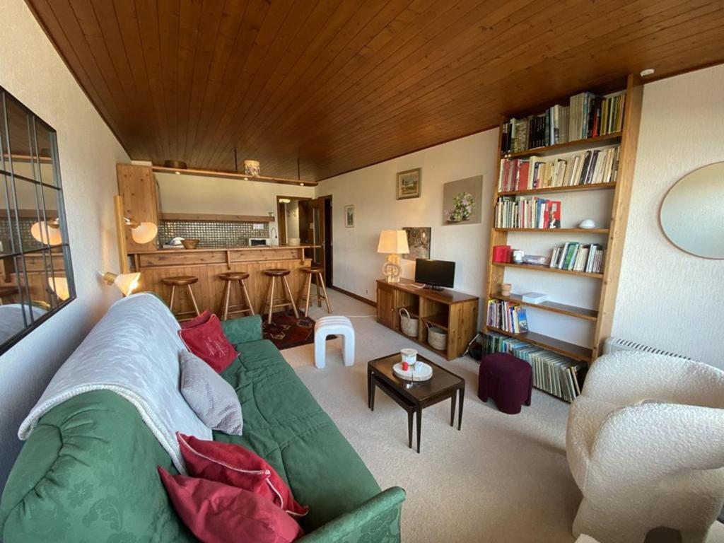 Studio cosy pour 2 personnes proche des pistes, vue sur les Aravis - FR-1-733-157 - 1
