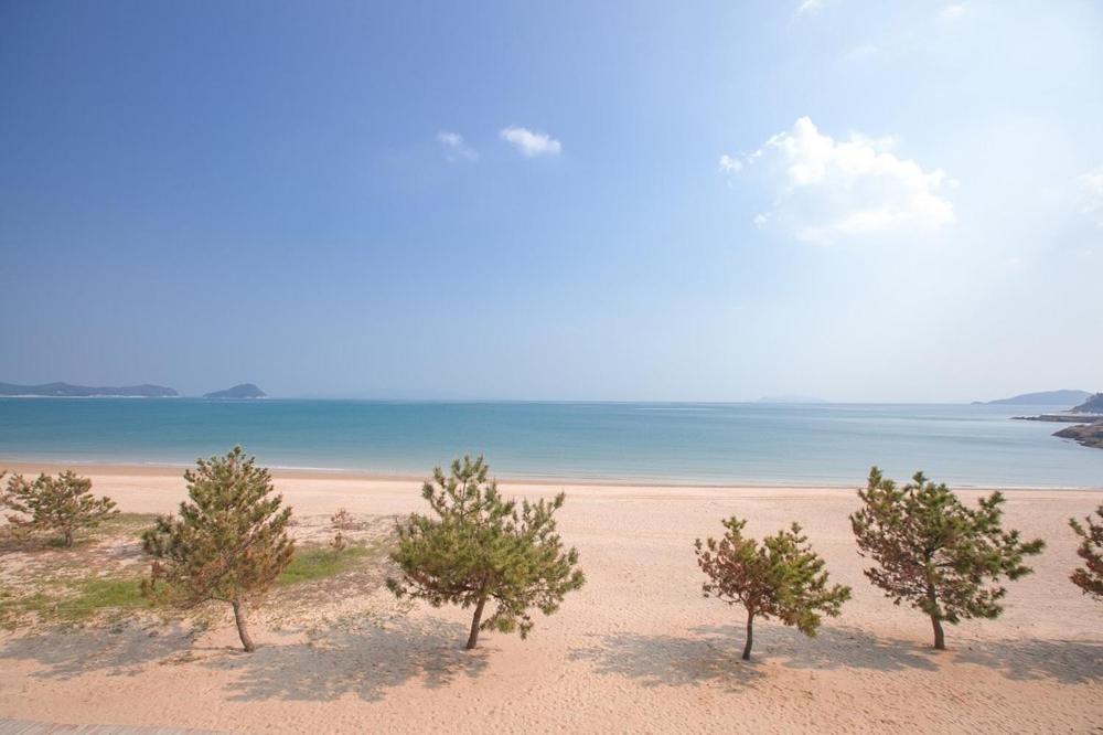 아일랜드 펜션 객실 및 내외부 시설