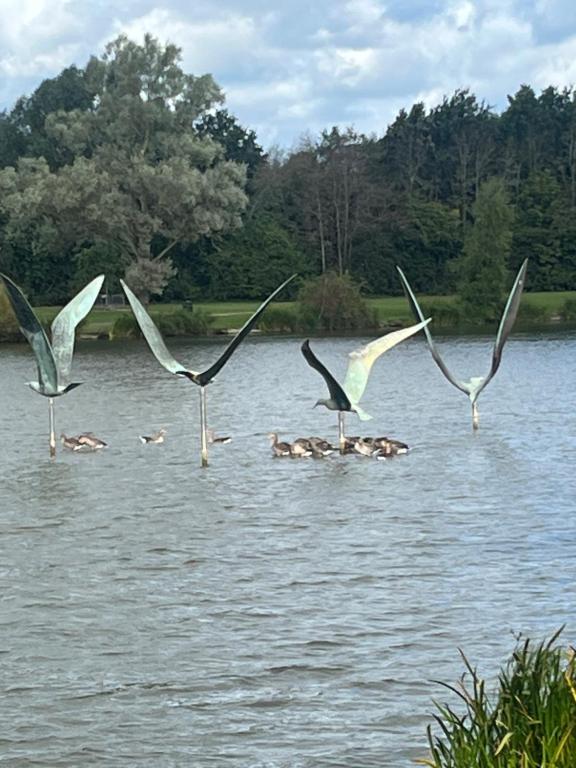 Gladstone cottage, Rocester