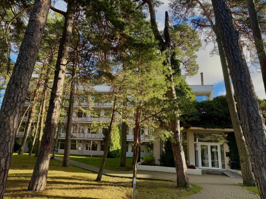 Palangos Dailė, Palanga