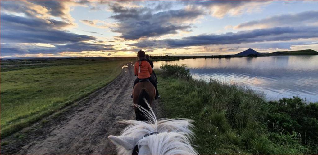 Horseback riding