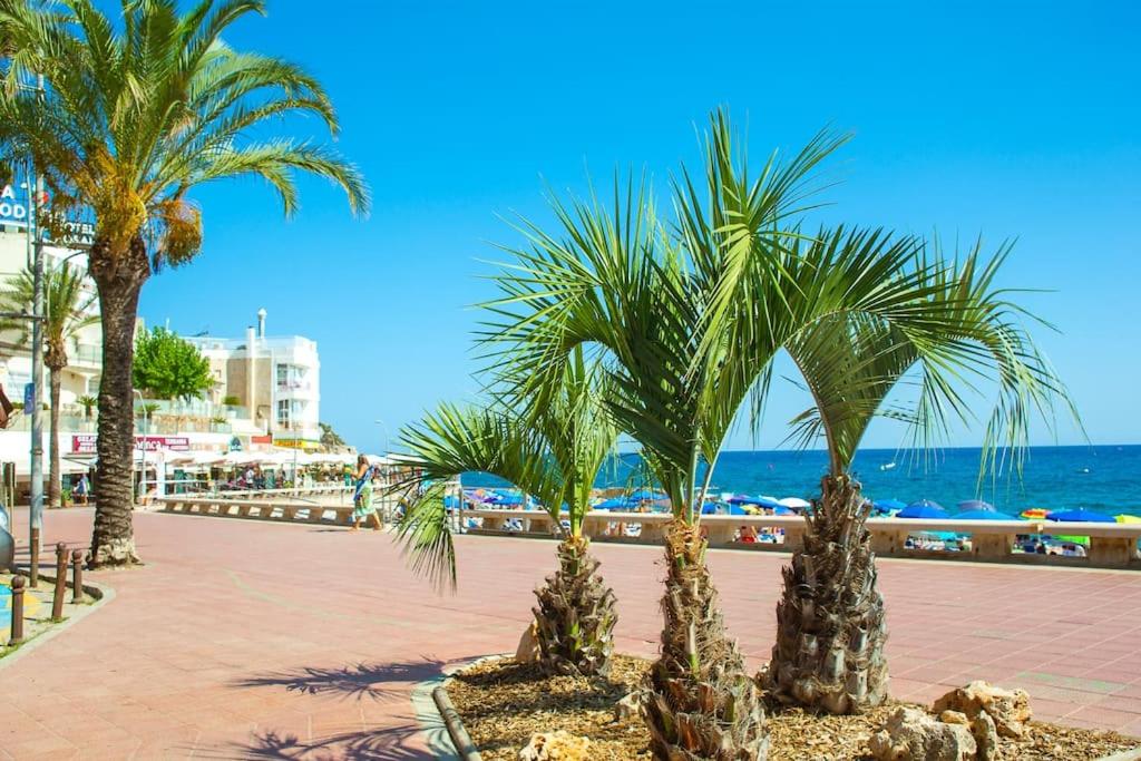 AL48 Apartment near leisure and beach Lloret - 4
