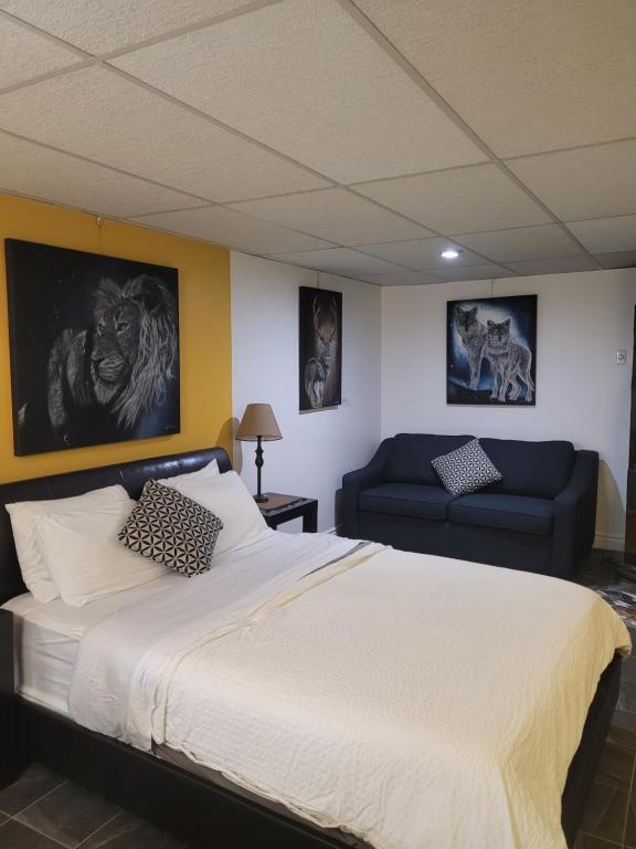 Studio Bellevue, Saint-Félicien