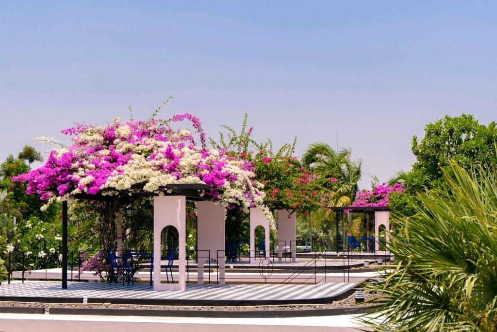 Surrounding environment