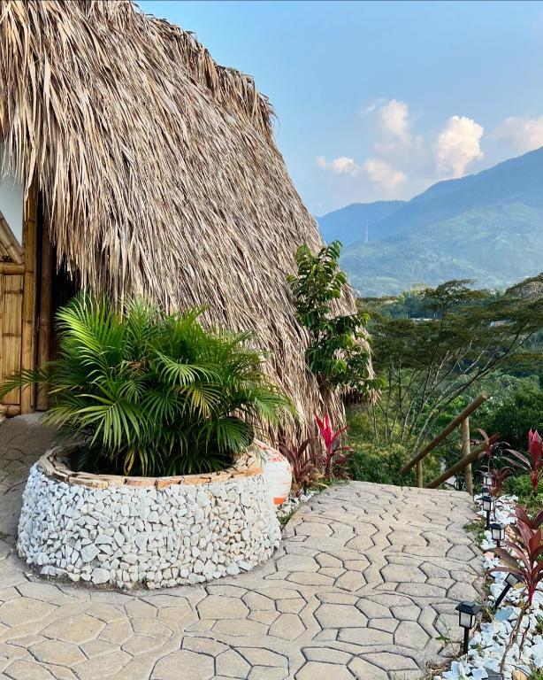 Cabaña Glamping vista verde Cocorna - 1
