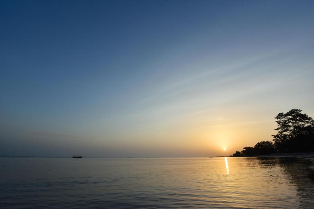 Surrounding environment