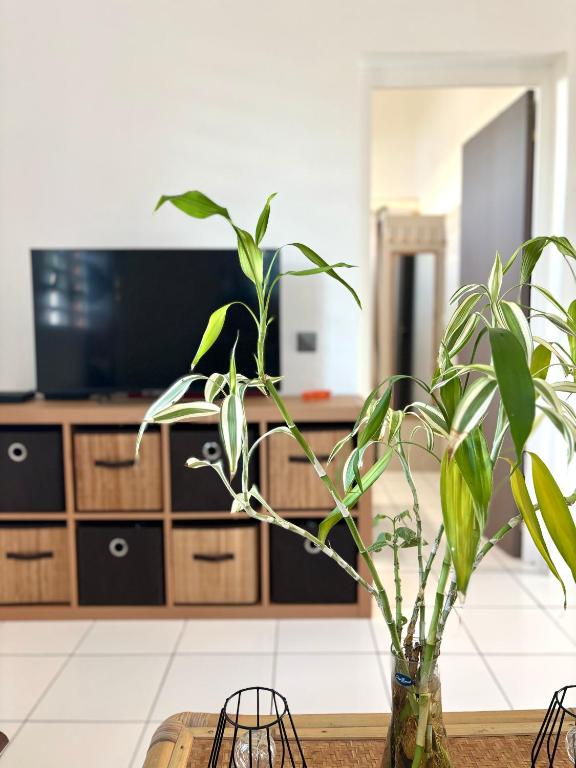 Le Gîte Ohana - Proches des plages et jardin privé, Saint-François