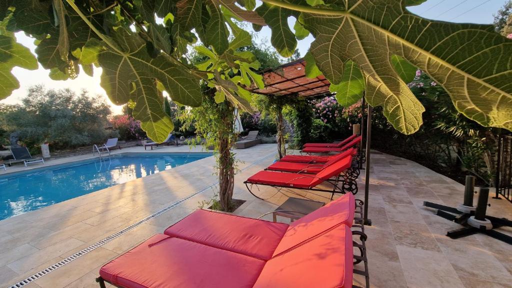 Moulin AURELIA - chambre La Coloniale, Pélissanne