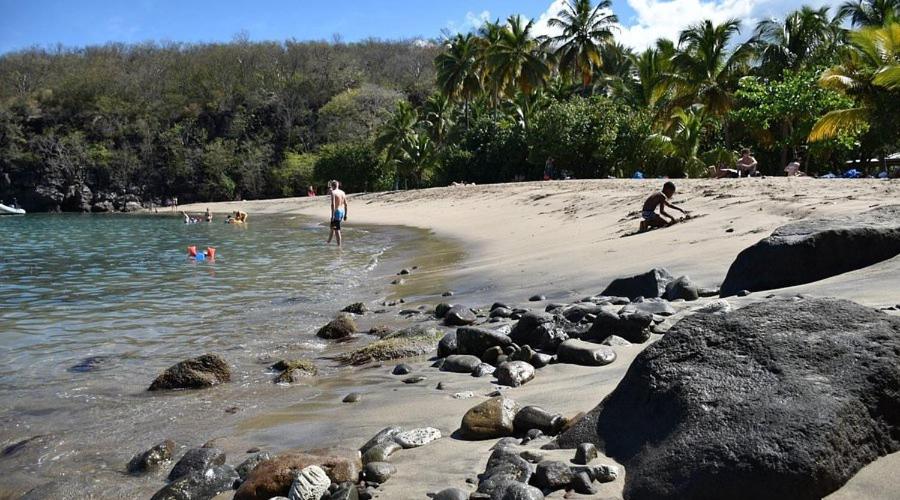 La Source : Mer et source d'eau chaude, Bouillante