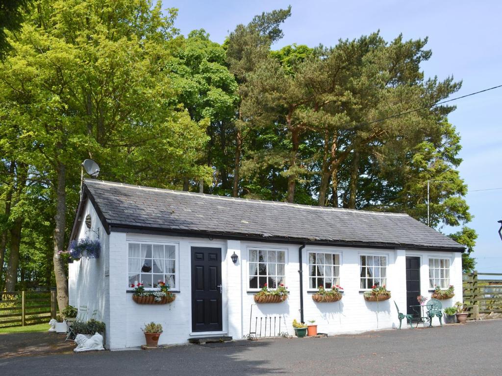 Glendale Mews, Haltwhistle