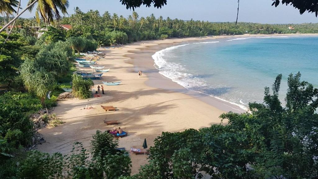 Mindiya Turtle Waves Talalla, Talalla South