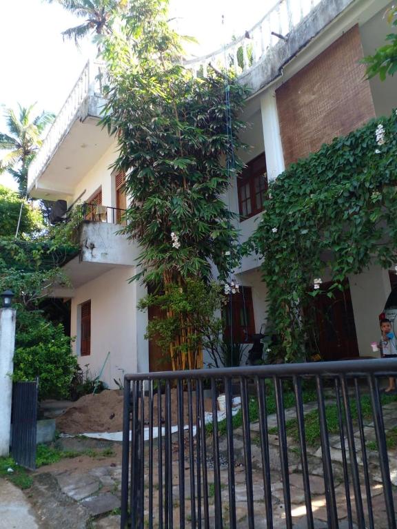 The Happy Wave, Mirissa (jih)