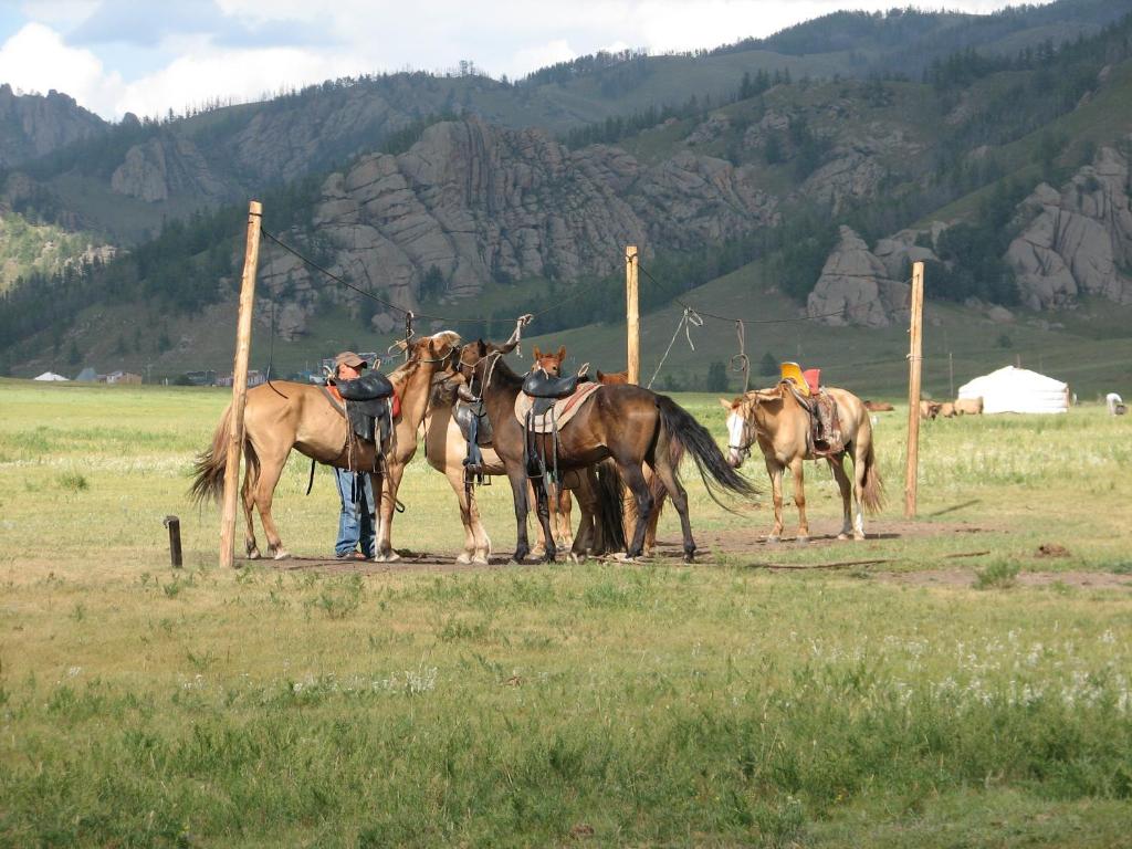 Horseback riding