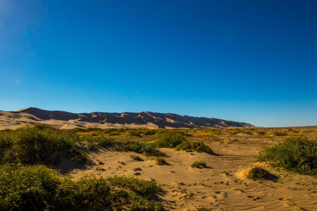 Surrounding environment, UB Guesthouse & Tours - not for locals in Ulaanbaatar