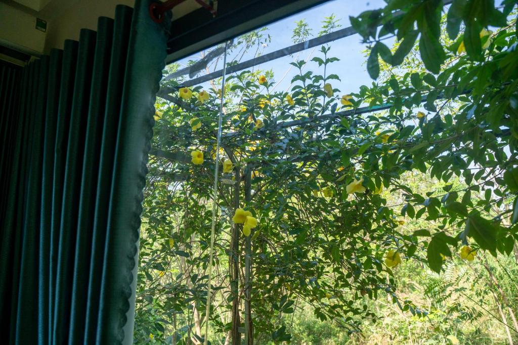 Higg Farm Resort & Glamping