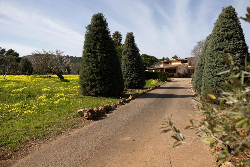 Villa Can Font - 2