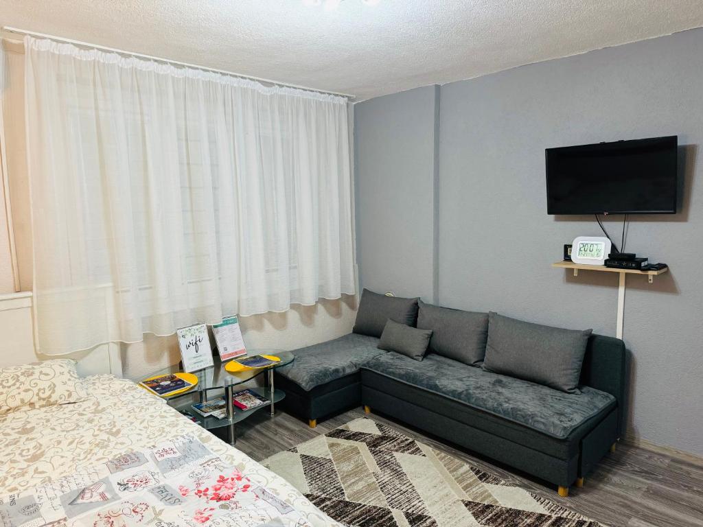T&N Studio-Center-Free parking,AC,Train-Bus station - 5
