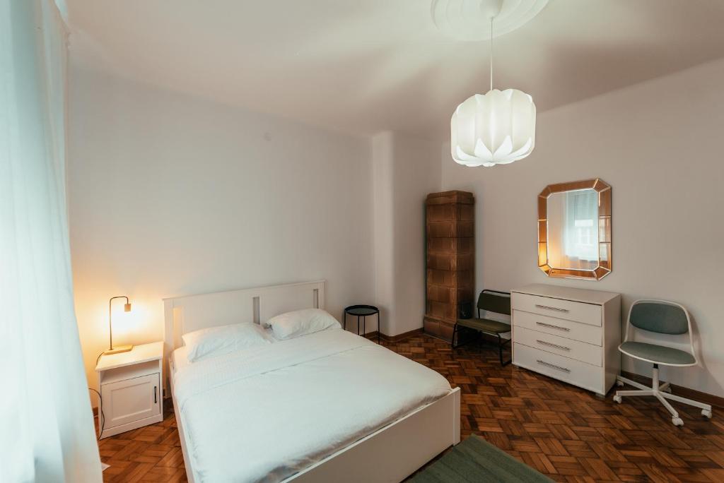 Central Spacious Apartment - 5