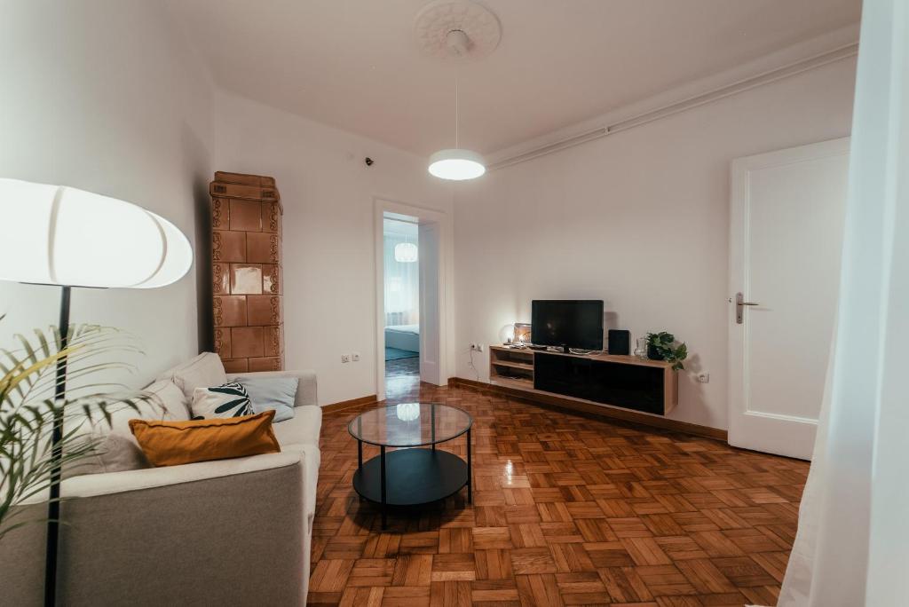 Central Spacious Apartment - 1