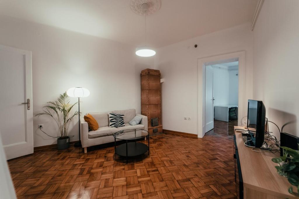 Central Spacious Apartment - 3