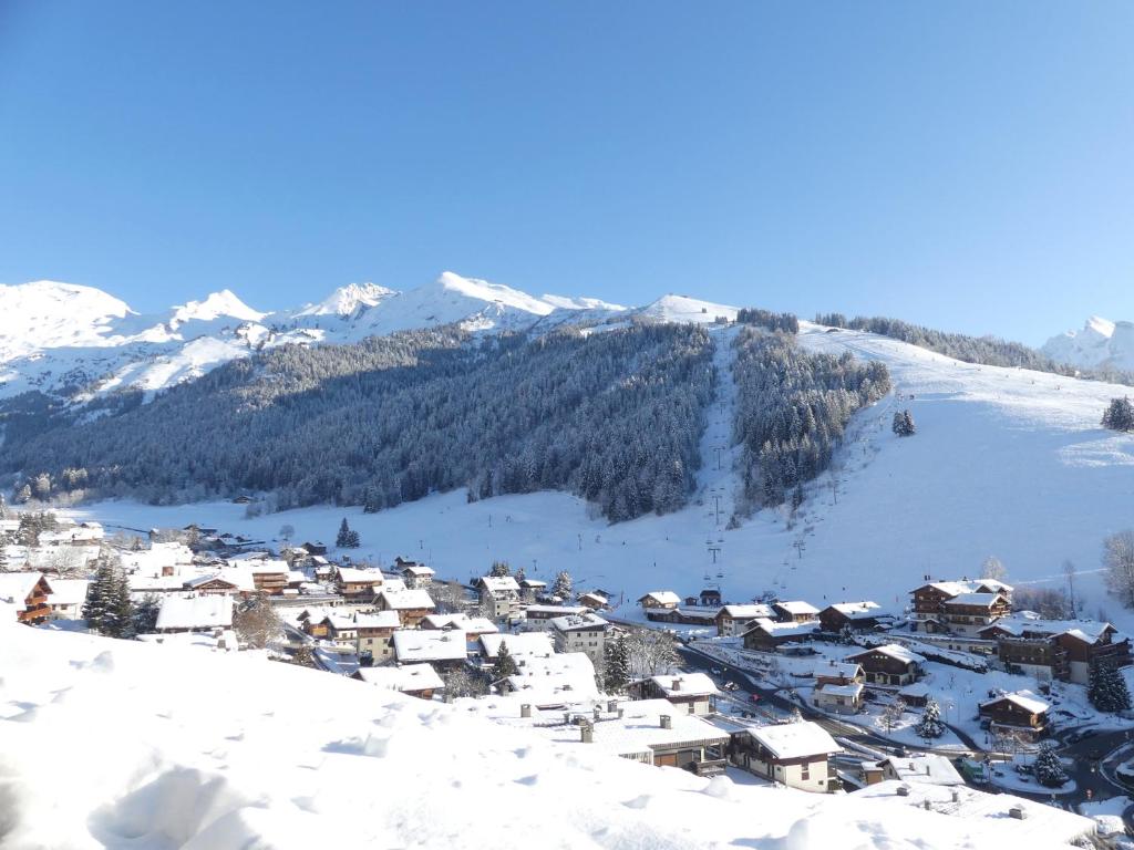 Ours Blanc 11 - Studio 4 pers belle vue montagnes et pistes - 2