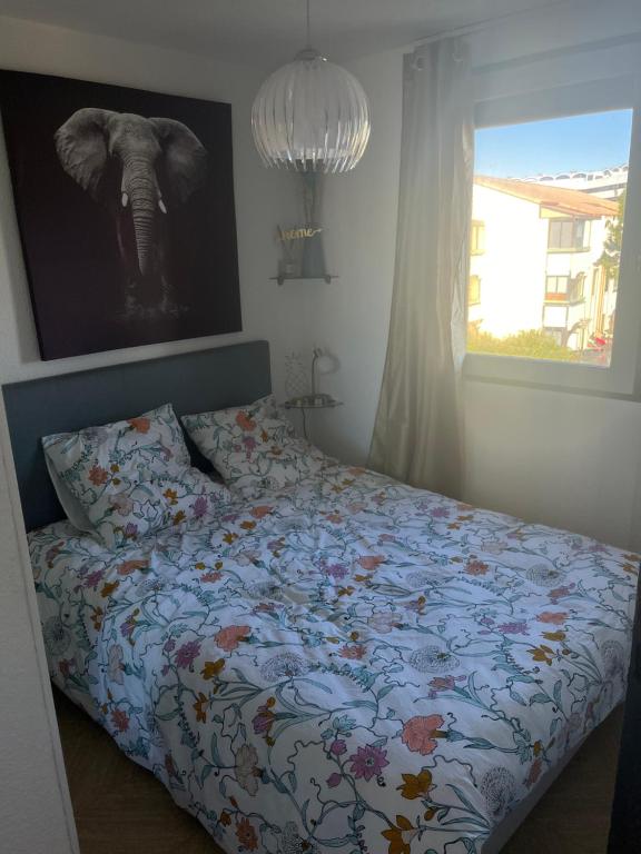 Bellavista - 2