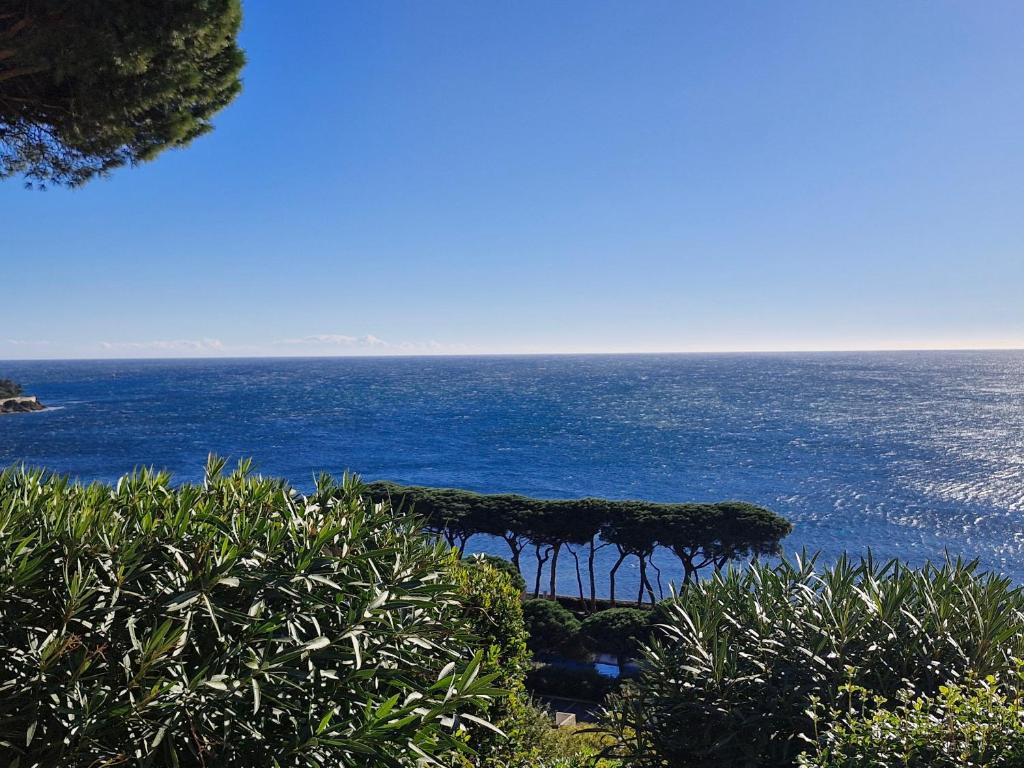 Appartement 2 pièces avec vue mer et garage à Sainte-Maxime - FR-1-780-71 - 5