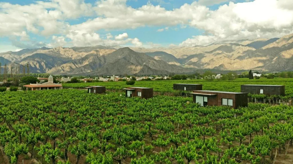 El Porvenir Wine Lodge, Hotel in Cafayate