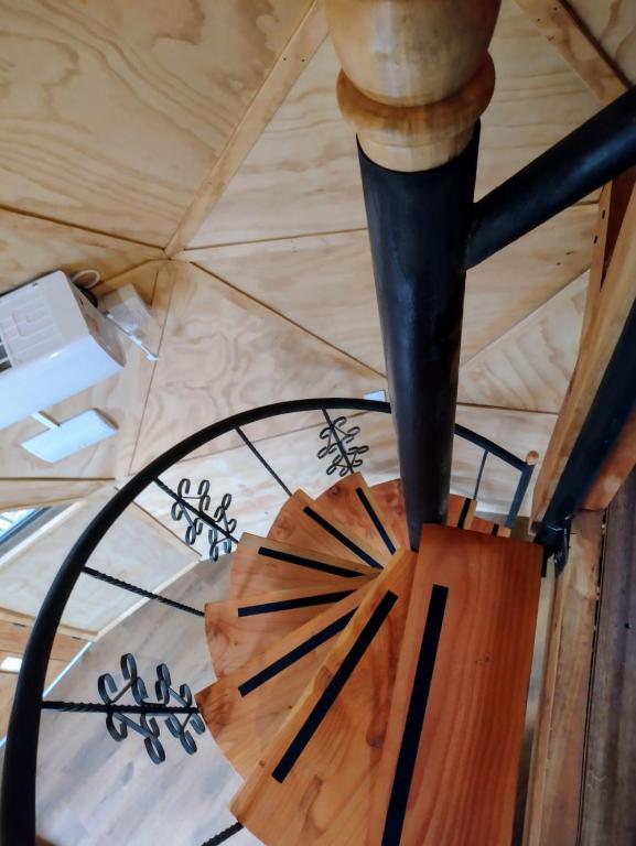 Domos Entre Luna y Bosque - 5