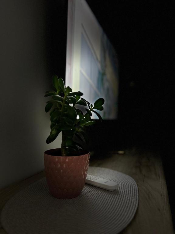Serenity Apartment - 4