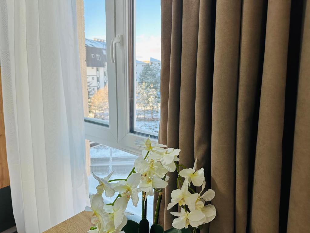 Milanovic Apartman - 5
