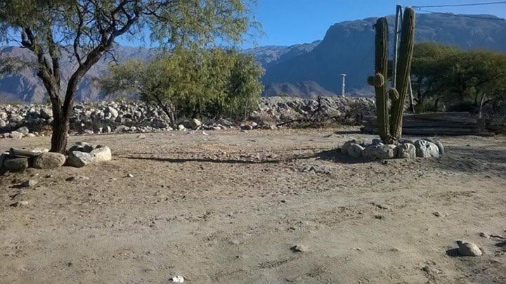 COQUENA cabañas - 2