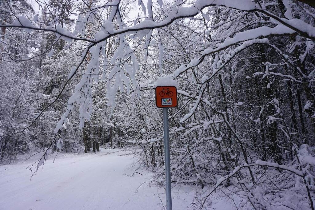 Sport i aktywny wypoczynek