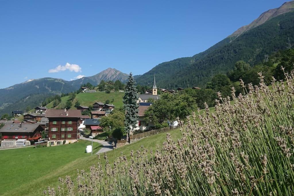 Chez Sophie Aletsch - Binntal - 4