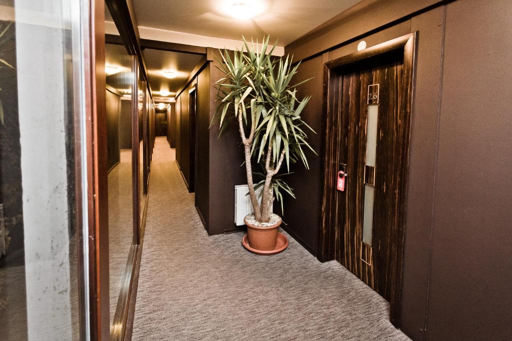 Soho Beach Hotel photo