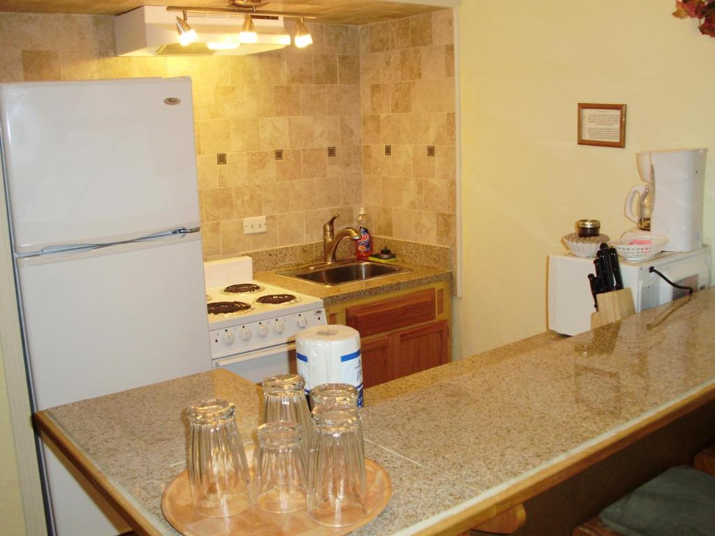 Village Lodge photo