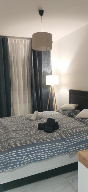 Apartman Simon, Banja Koviljača