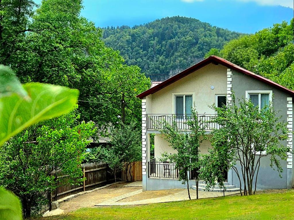 Cottage Timotea, Bordžomi