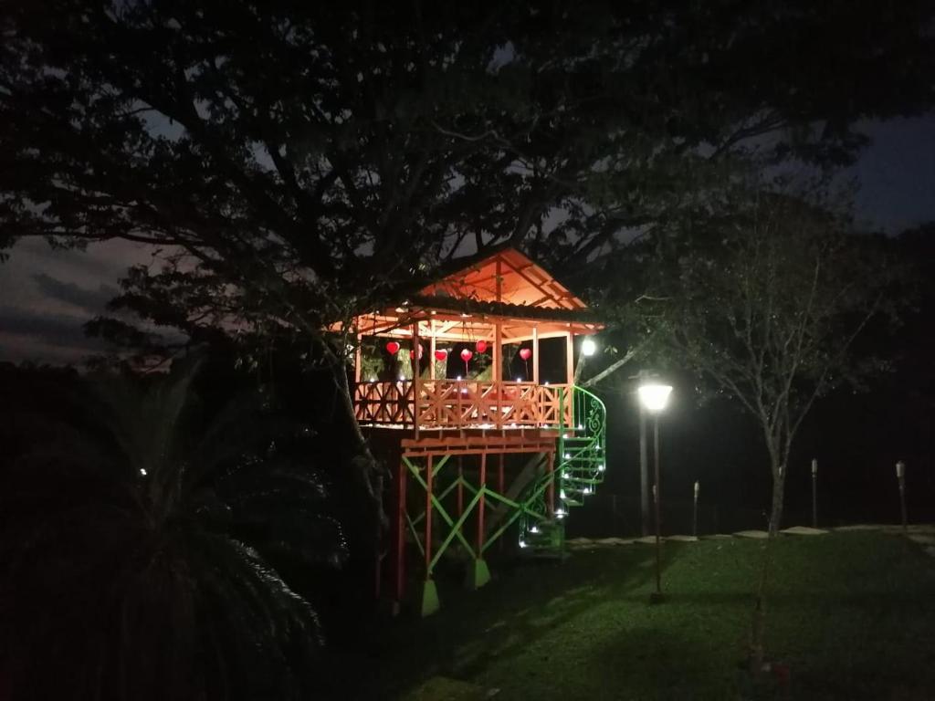 Surrounding environment