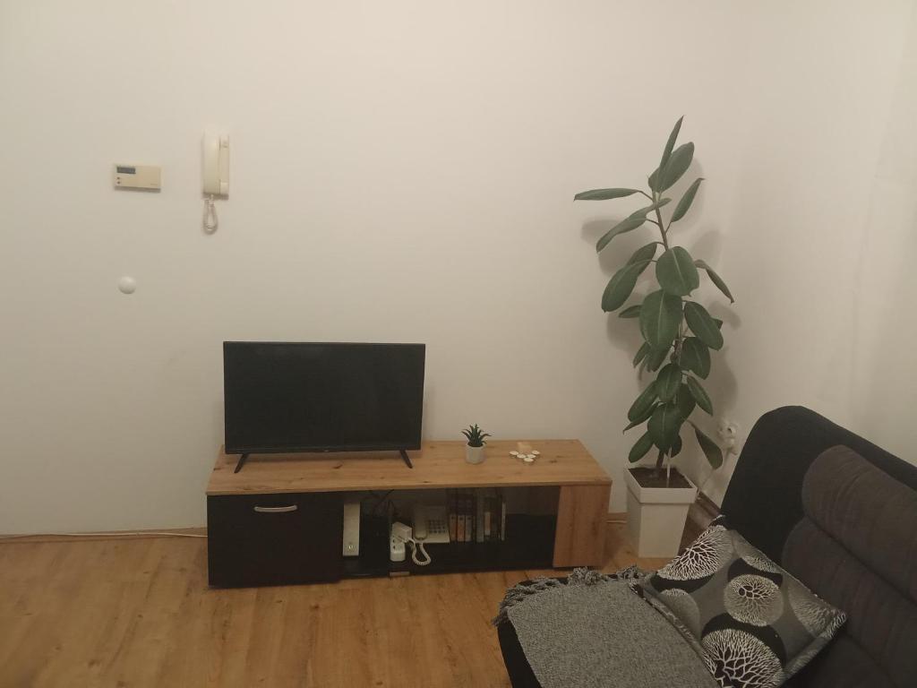 Apartmani Janićijević 1 - 4